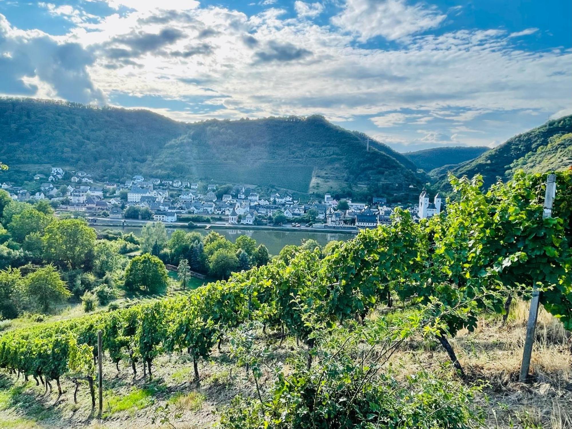Apartment Mosel - Comfort & Relax